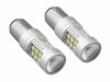 LED pirnid AMIO 1157 (P21/5W) BAY15D, 12V/24V, 2 tk