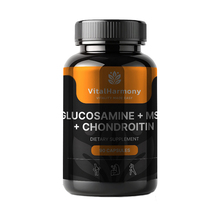VitalHarmony glükoosamiin + MSM + kondroitiin, 90 kapslit