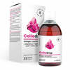 Aura Herbals Colladrop NatiCol kalakollageen C-vitamiiniga, 500 ml