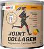 Iconfit liigeste kollageen apelsinimaitseline, 300 g
