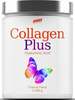 Kollageen Dion Collagen Plus troopiliste puuviljade maitse, 300 g