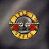 Vinüülplaat Guns N' Roses Greatest Hits 2LP