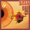 Vinüülplaat Kate Bush The Kick Inside