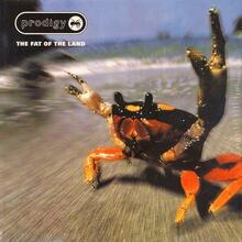 Vinüülplaat The Prodigy The Fat Of The Land 2LP