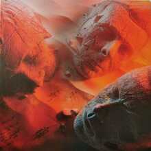 Vinüülplaat Muse Will Of The People Muse 1LP