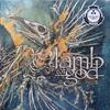Vinüülplaat Lamb Of God Omens Lamb Of God LP