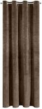 Öökardin Eurofirany Diva Line Ria, pehme samet, 140 x 250cm, pruun