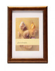 Pildiraam Imagee Nevada VF3430, 21 x 30 cm, pronks