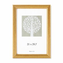 Fotoraam Savex Aura 1303404, A4, 21 x 29,7 cm, kuldne
