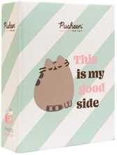Fotoalbum Grupo Erik Pusheen, 10 x 15 cm, 100 fotot