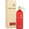 Montale Oud Tobacco EDP 100 ml