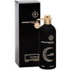 Montale Paris Oud Dream EDP 100 ml