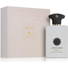 Amouage Opus V: Woods Symphony EDP 100 ml
