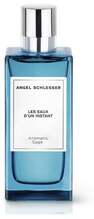 Unisex tualettvesi Angel Schlesser Les Eaux D'Un Instant Aromatic Sage EDT 150 ml