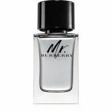 Tualettvesi meestele Burberry Mr. Burberry EDT 100 ml