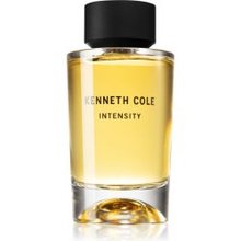 Kenneth Cole Intensity EDT 100 ml