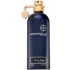Montale Blue Amber EDP 100 ml