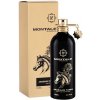 Montale Paris Arabians Tonka EDP 100 ml