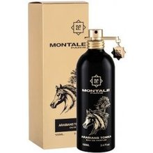 Montale Paris Arabians Tonka EDP 100 ml