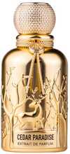 Meeste parfüüm Auraa Desire Cedar Paradise Extrait de Parfum 100 ml