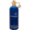 Montale Amber & Spices EDP 100 ml