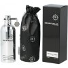 Montale Patchouli Leaves EDP 100 ml