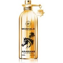 Montale Paris Arabians EDP 100 ml