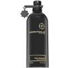Montale Oud Edition EDP 100 ml