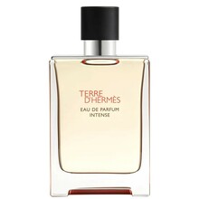 Unisex parfüümvesi Hermes Terre D'Hermes Intense EDP 100 ml