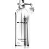 Montale Paris Fougeres Marine EDP 100 ml