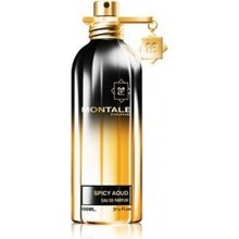 Montale Spicy Aoud EDP 100 ml