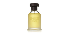Unisex parfüüm Bois 1920 Vetiver Ambrato EDT 100 ml