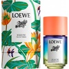 Loewe Paulas Ibiza Eclectic EDT 100 ml