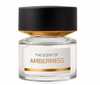 Meeste parfüüm BMW The Scent Of Amberness EDP 100 ml