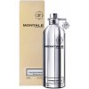 Montale Paris Fougere Marine EDP 100 ml
