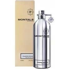 Montale Paris Fougere Marine EDP 100 ml
