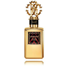 Universaalne parfüüm Roberto Cavalli Velour Saffron Parfum 100 ml