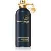 Montale Oudyssee EDP 100 ml