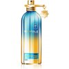 Montale Blue Matcha EDP 100 ml