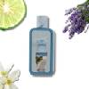 Universaalne parfüüm Riiffs Seasons Drift EDP 100 ml
