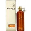 Montale Aoud Orange EDP 100 ml