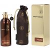 Montale Aoud Forest EDP 100 ml