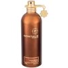 Montale Aoud Musk EDP 100 ml