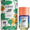 Loewe Paula s Ibiza Eclectic EDT 50 ml
