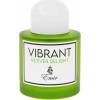 Emir Vibrant Vetiver Delight EDP 100 ml