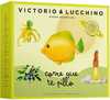 Laste parfüümikomplekt Victorio & Lucchino Childrens Waters Run, Ill Catch You 2-osaline