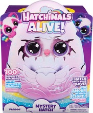 Interaktiivne mänguasi Hatchimals Pandoo Spin Master