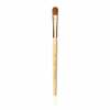 Lauvärvipintsel Jane Iredale Deluxe Shader, 1 tk
