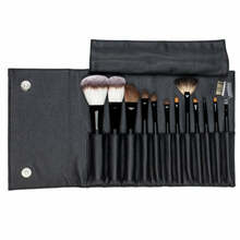 Meigipintslite komplekt OSOM Professional 12 tk koos vutlariga, PF0082TY-12P