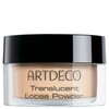 Lahtine puuder Artdeco Translucent Loose Powder 05 Translucent Medium, 8 g